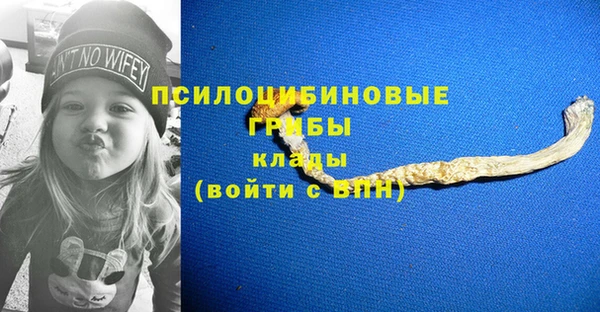 герыч Магас