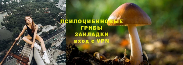 герыч Магас