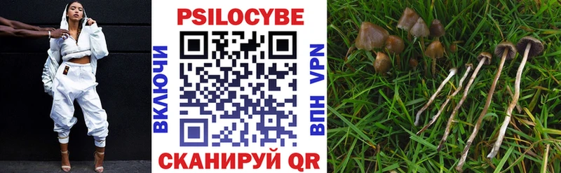Псилоцибиновые грибы GOLDEN TEACHER  Невинномысск 