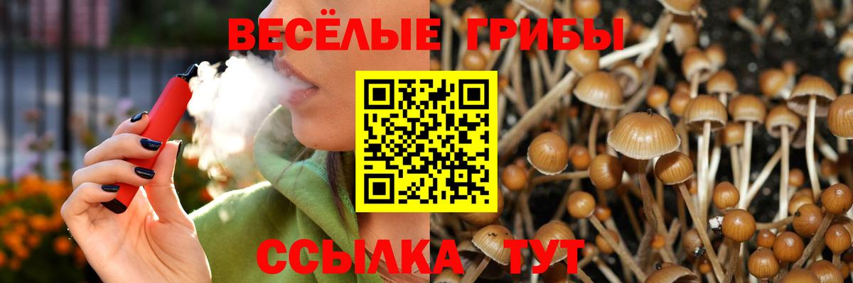 Невинномысск  Псилоцибиновые грибы Psilocybe  Вход с VPN 